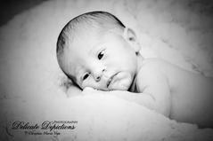 Newborn Photo Gallery