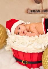 Holiday Photo Gallery