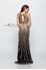 Designer Milano Formals lace long prom dress.