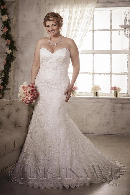 Lace Plus size wedding Dress lace mermaid trumpet gown