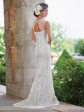 2017 Enchanting Lace and tulle trumpet Wedding gown Collection By Mon Cheri