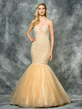 48" MESH DRESS WITH SCARF