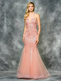 48''MESH DRESS WITH SACRF