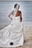 Wedding Photos