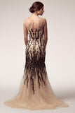 Prom & Evening Lace Beaded Dresses