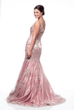 Prom & Evening Lace Beaded Dress