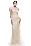 Prom & Evening Lace Beaded Dresses