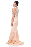 Prom & Evenning Lace Jersey Beaded Dresses