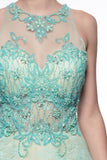 Prom & Evening Lace Beaded Dress