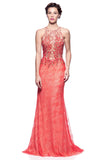 Prom & Evenning Lace Jersey Beaded Dresses