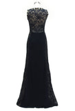 Prom & Evenning Lace Jersey Beaded Dresses
