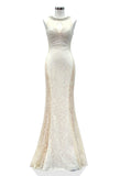 Prom & Evening Lace Dresses