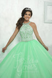 2017 Beautiful quinceañera, sweet 16, engagement ball gown dress by designer House of Wu