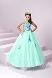 Beautiful Pageant, Flower Girl,  ball gown dress by Tiffany Princess