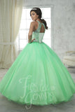 2017 Beautiful quinceañera, sweet 16, engagement ball gown dress by designer House of Wu
