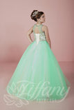 Beautiful Pageant, Flower Girl,  ball gown dress by Tiffany Princess