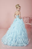 Beautiful Pageant, Flower Girl,  ball gown dress by Tiffany Princess