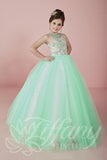 Beautiful Pageant, Flower Girl,  ball gown dress by Tiffany Princess