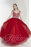 Beautiful Pageant, Flower Girl,  ball gown dress by Tiffany Princess