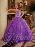 Beautiful Pageant, Flower Girl,  ball gown dress by Tiffany Princess