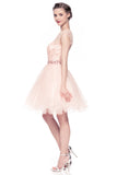 Lace short prom homecoming cocktail dress
