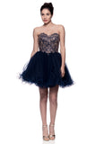 Lace short prom homecoming cocktail dress