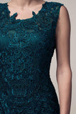 Mother Of The Bride Lace satin chiffon Long Gown Dress