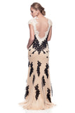 Mother Of The Bride Lace satin chiffon Long Gown Dress