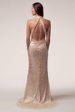 Prom & Evening Lace Beaded Dresses