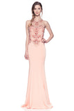 Prom & Evenning Lace Jersey Beaded Dresses