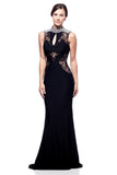 Prom & Evening Lace Beaded Dress