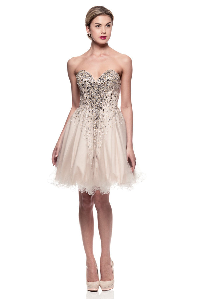 lace short prom homecoming cocktail dress