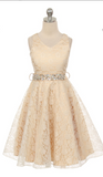 Flower girl communion lace beaded chiffon dresses