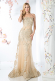 Prom & Evening lace chiffon Dresses