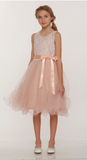 flower girl communion lace chiffon dresses
