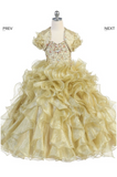 Beautiful Pageant, Flower Girl,  ball gown dress