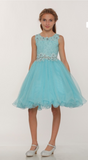 Flower girl communion lace chiffon dresses