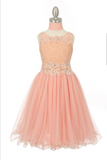 Flower girl communion lace chiffon dresses
