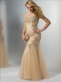 Prom  & Evening Lace Jersey Beaded Dresses