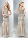 Prom & Evenning Lace Jersey Beaded Dresses