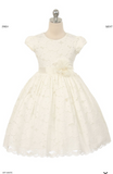 Beautiful Pageant, Flower Girl, ball gown dress