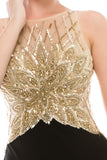 Prom & Evening Lace Beaded Dresses