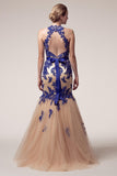 Prom & Evening Lace Beaded Dresses