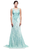 Prom & Evening Lace Beaded Dresses
