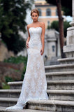 Lace mermaid trumpet ball gown Wedding Dress
