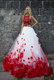 Red Lace tulle sleeve princess ball gown lace A-Line wedding dress