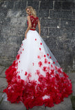Red Lace tulle sleeve princess ball gown lace A-Line wedding dress